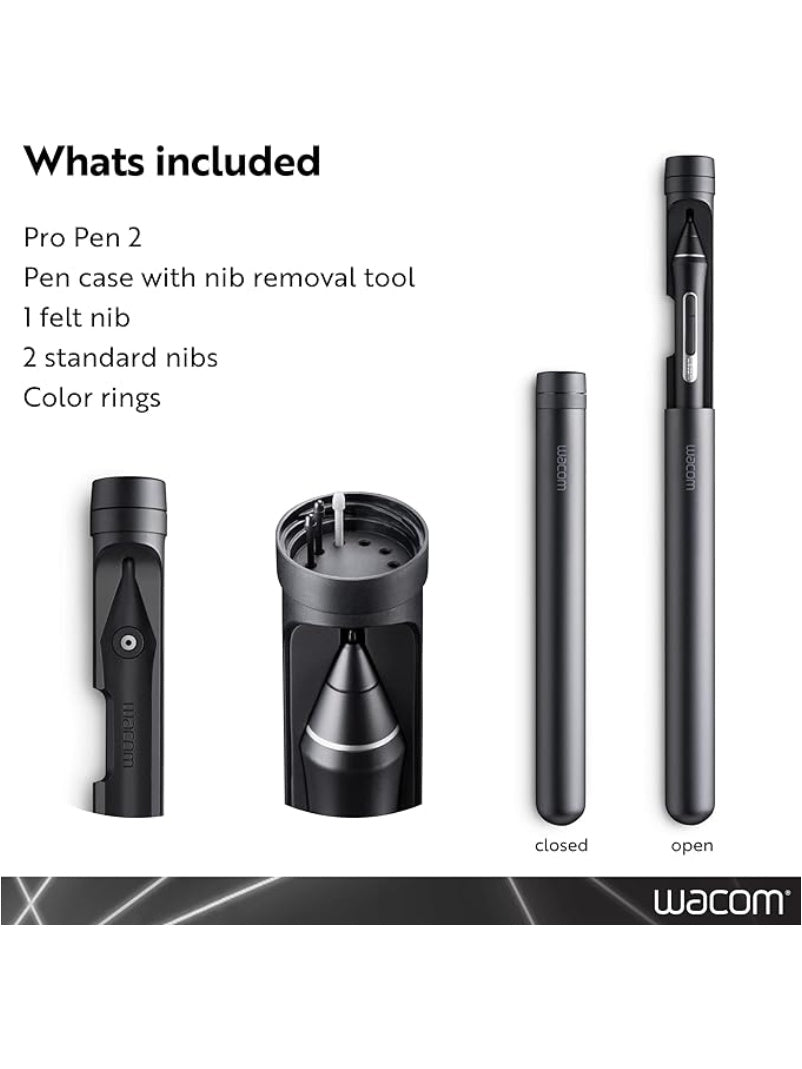 LAPIZ WACON PRO PEN 2