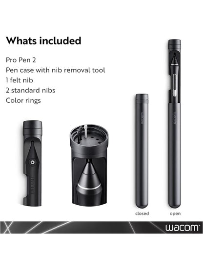 LAPIZ WACON PRO PEN 2